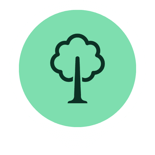 Parklar